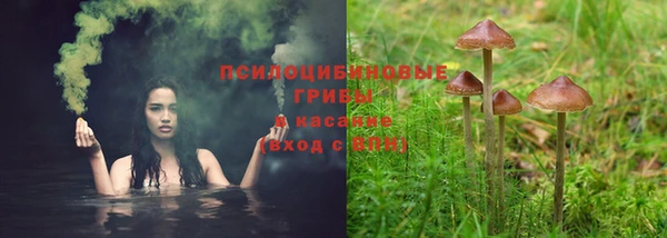 дурь Аркадак