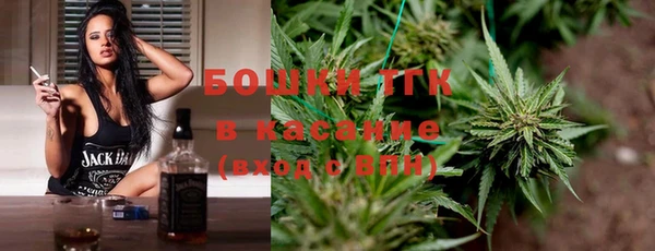 дурь Пестово