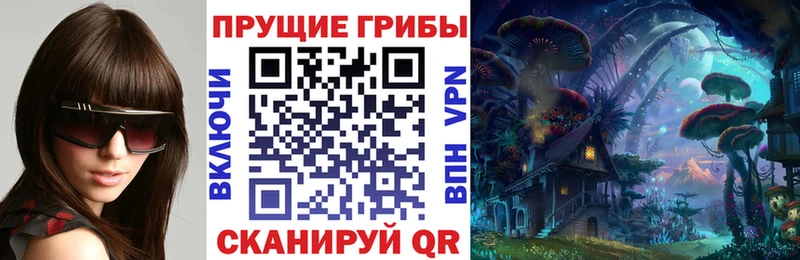 Псилоцибиновые грибы Psilocybine cubensis  купить наркотики цена  Холмск 
